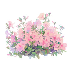Fototapeta premium Azalea Bush art illustration watercolor vector