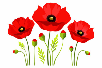 Obraz premium Red Poppy Vector Illustration on White Background - 8K High-Resolution Floral Art