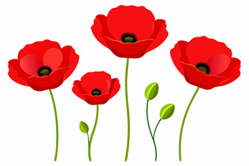 Obraz premium Red Poppy Vector Illustration on White Background - 8K High-Resolution Floral Art