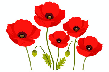 Obraz premium Red Poppy Vector Illustration on White Background - 8K High-Resolution Floral Art