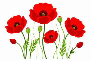 Fototapeta premium Red Poppy Vector Illustration on White Background - 8K High-Resolution Floral Art