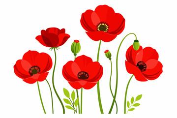 Obraz premium Red Poppy Vector Illustration on White Background - 8K High-Resolution Floral Art