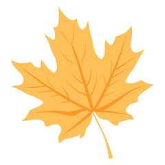 Fototapeta premium Leaves leaf illustration design vector