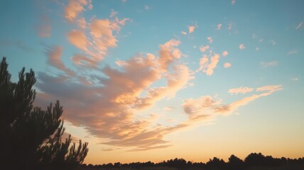 Fototapeta premium Pastel Sunset Sky with Silhouetted Trees