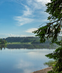 Beautiful lake with a tree in the background