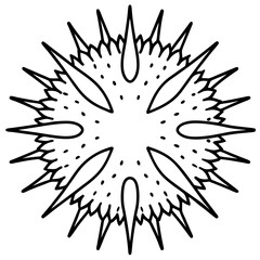 Contemporary Sea Urchin One-Line Vector
