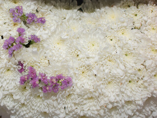 White flowers with a few purple flowers, close-up photo