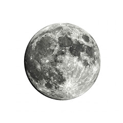 Fototapeta premium Moon