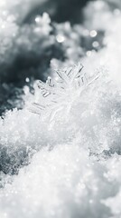 Fototapeta premium A Delicate Embrace: A macro shot captures the exquisite details of a pristine snowflake, resting peacefully on a bed of fresh snow.