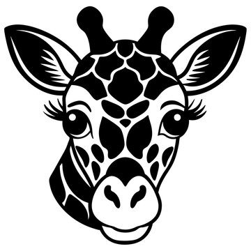 Cute giraffe face