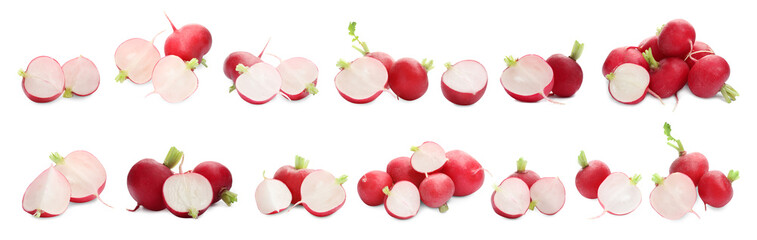 Whole and sliced fresh radishes isolated on white, set
