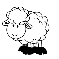 vector illustration of sheep