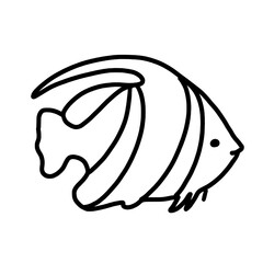 vector illustration of a fish