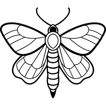 black and white moth drawing clip art preview