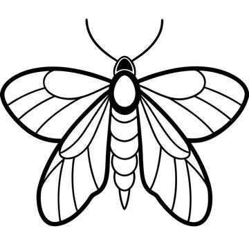 black and white moth outline clip art preview