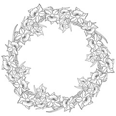 Hand Drawn Round Daffodil Flower Frame In Line Art Style