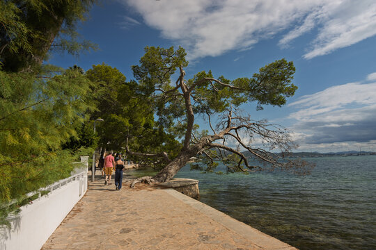 Sch&ouml;ne Uferpromenade mit Ferienunterk&uuml;nften am Meer in Pollen&ccedil;a, Mallorca, Spanien