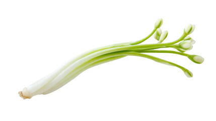 Obraz premium onion isolated on white background