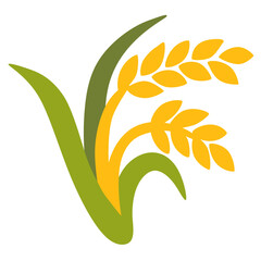 Naklejka premium Golden Rice Plant