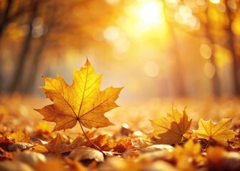 Fototapeta premium Golden fall leaves: a minimalist photographic study of autumn.