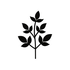 leaf vector illustration