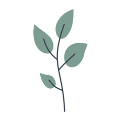 Leaves on a branch. Cute illustration, vector, color, simple.