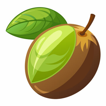 mongongo nut