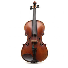 Fototapeta premium Violin