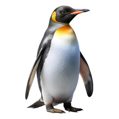 Fototapeta premium Penguin isolated on transparent background