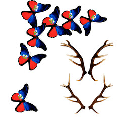 Fototapeta premium A group of butterflies with antlers isolated on transparent background