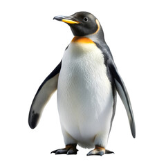Fototapeta premium Penguin isolated on transparent background