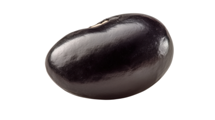 eggplant on white background