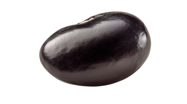 eggplant on white background
