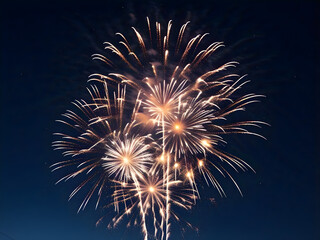 fireworks in the sky