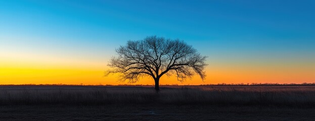 Lone tree sunset field landscape, nature serenity