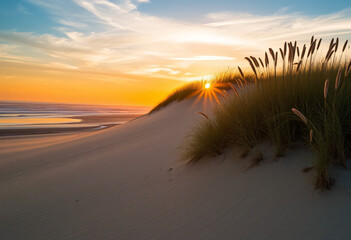 Sunset at the beach with colors and dunes