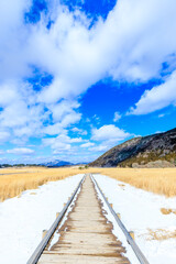 冬のタデ原湿原　くじゅう連山　大分県玖珠郡　
Tadewara wetland in winter. Kujuurenzan. Oita Pref, Kusu-gun.