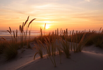 Sunset at the beach with colors and dunes