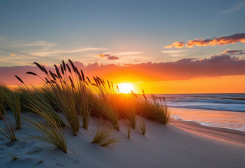 Sunset at the beach with colors and dunes