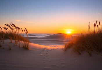 Sunset at the beach with colors and dunes
