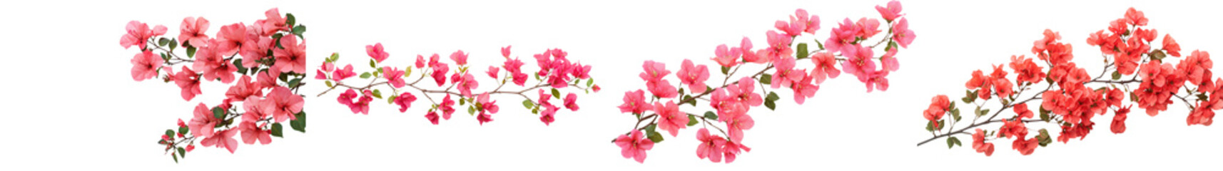 Vibrant pink blossoms adorning spring garden branches with delicate petals and lush foliage creating a serene and romantic natural floral scene