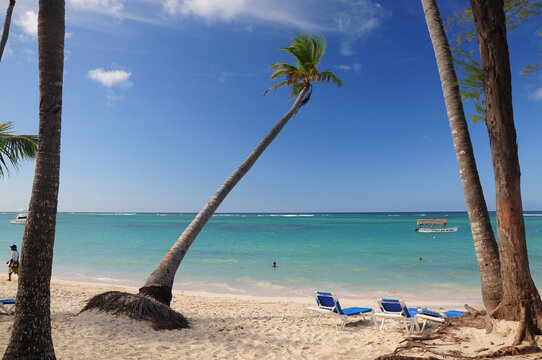 Punta Cana, La Altagracia, Domenican Republic. May 01, 2012: Tropical beach scene with palm trees and blue ocean in Punta Cana, Dominican Republic.