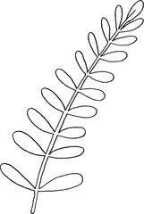 Delicate Green Fern Illustration Clipart