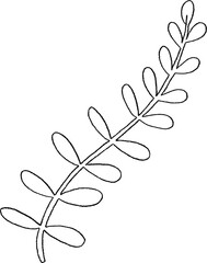 Delicate Green Fern Illustration Clipart