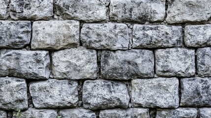 Fototapeta premium Textur einer alten grauen Mauer aus Beton als Hintergrund