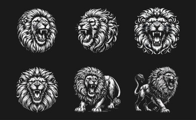 Obraz premium fierce roar growling lion head Tattoo engraving template