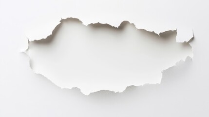 Fototapeta premium Torn paper texture with empty space for design or message