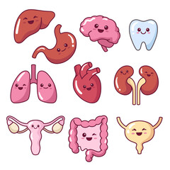 Cute kawaii internal organs illustrations, inners in a cartoon comic style, simple kids drawings