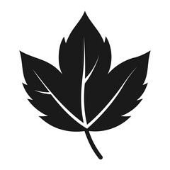 Simple Black and White Silhouette of a Leaf, vector illustration of a leaf silhouette