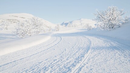 Obraz premium Snowy mountain trail, winter landscape, cross-country skiing tracks